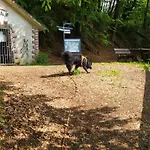 Zum Maerchenwald 아파트 *