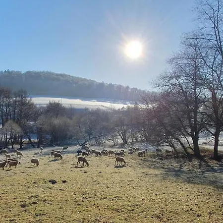 Zum Maerchenwald * Bergfreiheit