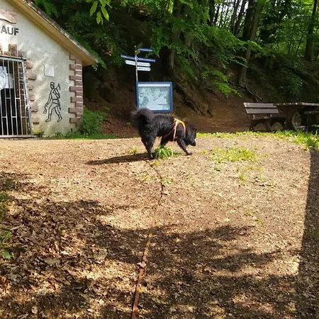 Zum Maerchenwald Apartamento *