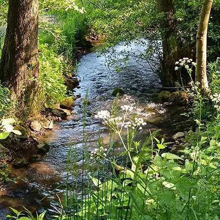 Apartamento Zum Maerchenwald