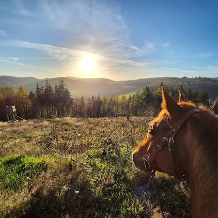 Zum Maerchenwald Bergfreiheit
