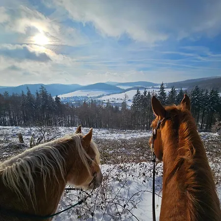 Zum Maerchenwald Apartamento