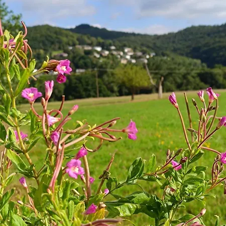 Zum Maerchenwald * Bergfreiheit