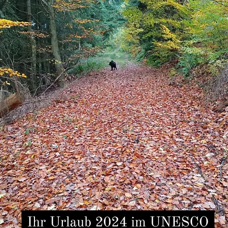 Zum Maerchenwald * Bergfreiheit