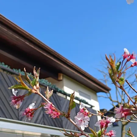 Zum Maerchenwald Apartment *