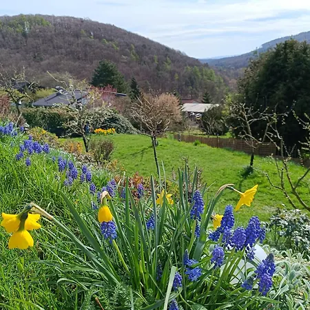 Zum Maerchenwald Apartamento Bergfreiheit