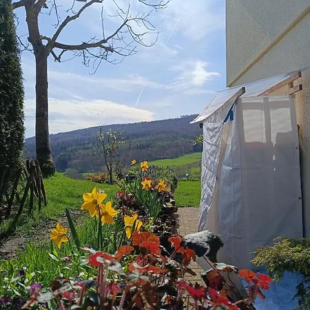 Zum Maerchenwald Apartment *