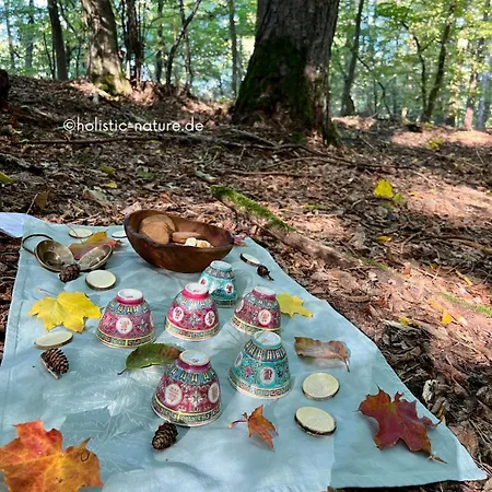 Zum Maerchenwald * Bergfreiheit