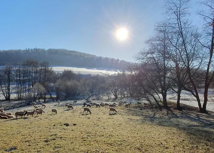 Zum Maerchenwald * ברגפרהייט
