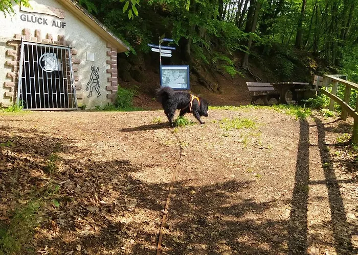 Zum Maerchenwald דירה *