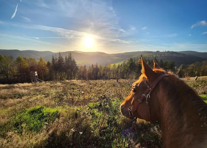 Zum Maerchenwald ברגפרהייט