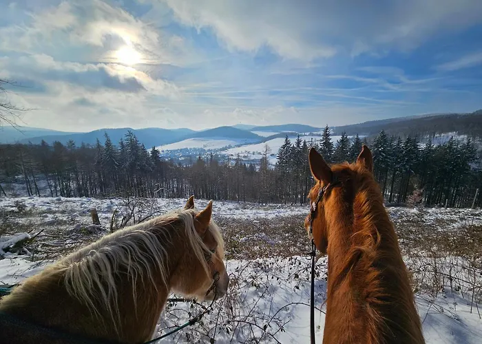 Zum Maerchenwald דירה