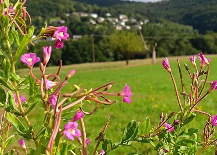 Zum Maerchenwald * ברגפרהייט