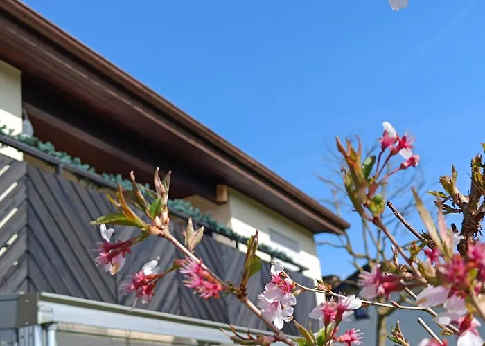 Zum Maerchenwald דירה *