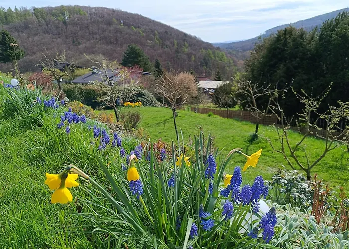 Zum Maerchenwald דירה ברגפרהייט