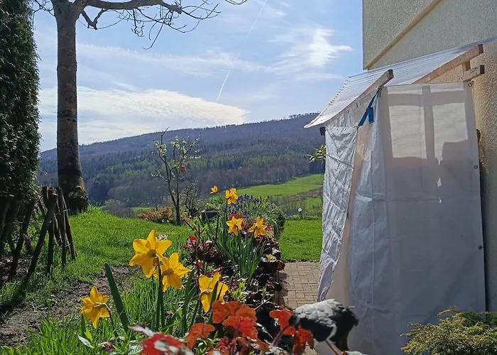 Zum Maerchenwald דירה *