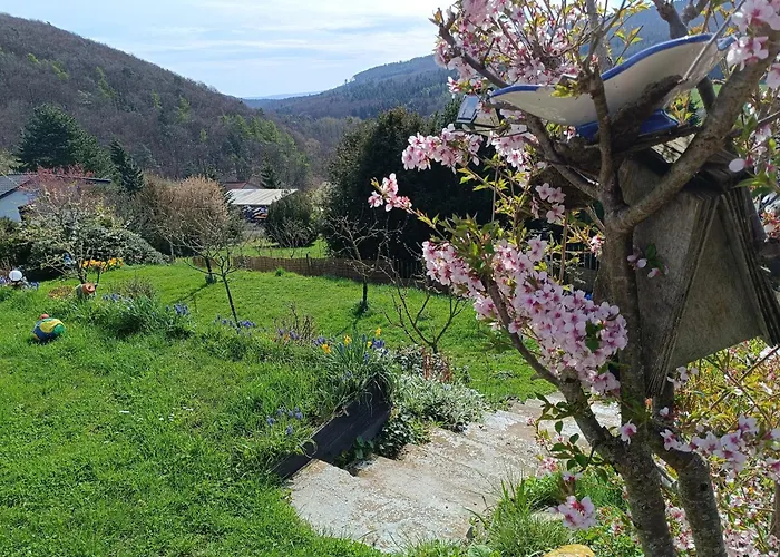 Zum Maerchenwald * ברגפרהייט